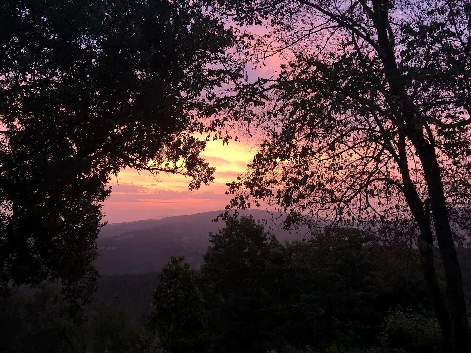 The last light over the hills through the trees