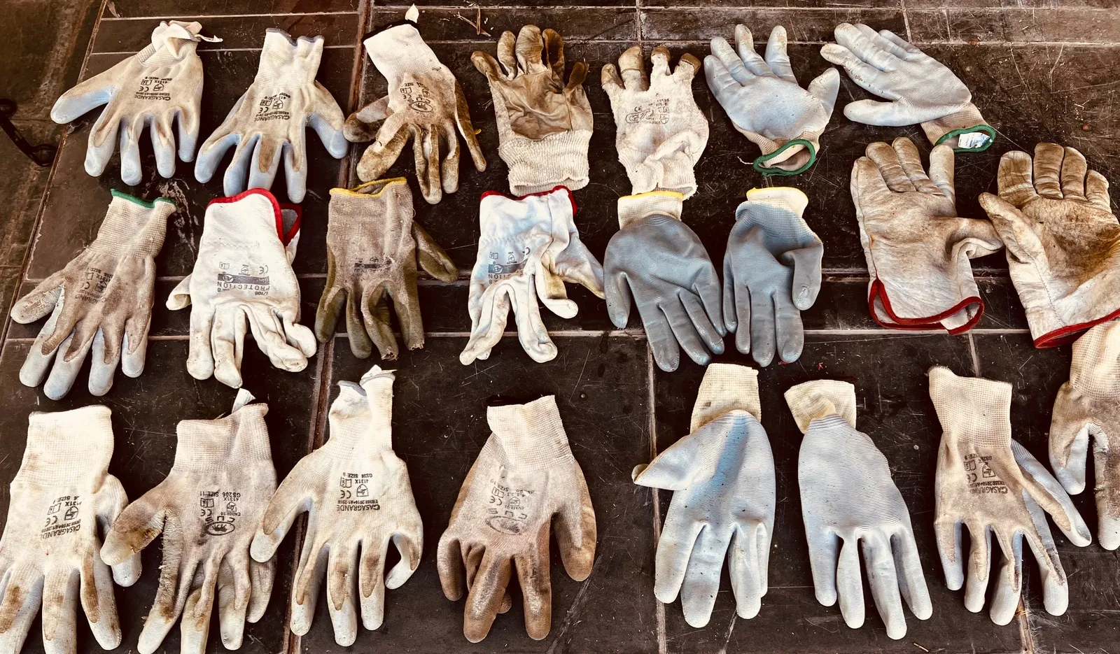 Rows of worn harvest gloves laid out to dry
