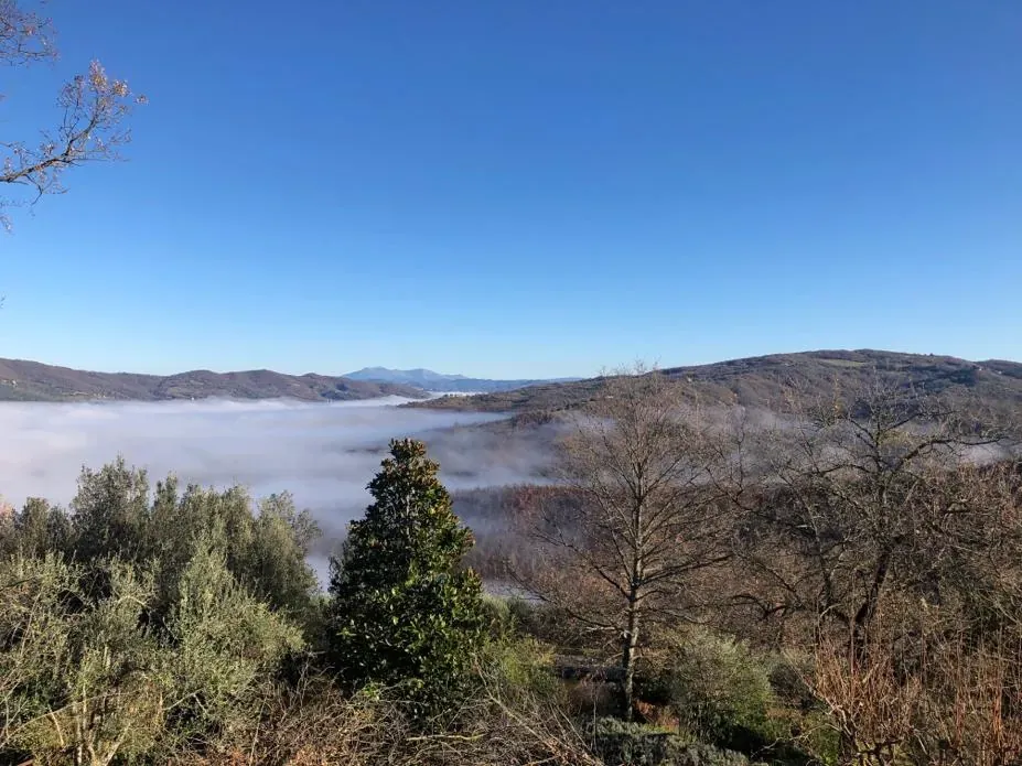 Mist filling the valley below the hills in the morning