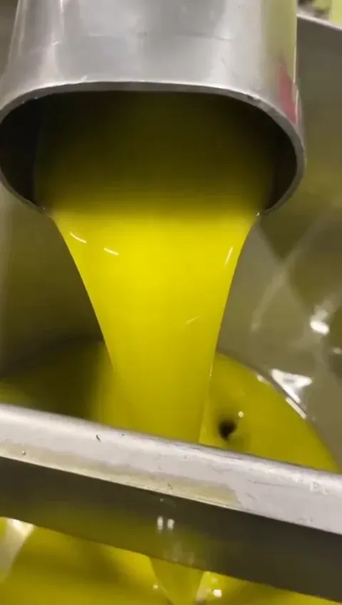 New oil running green-gold from the mill
