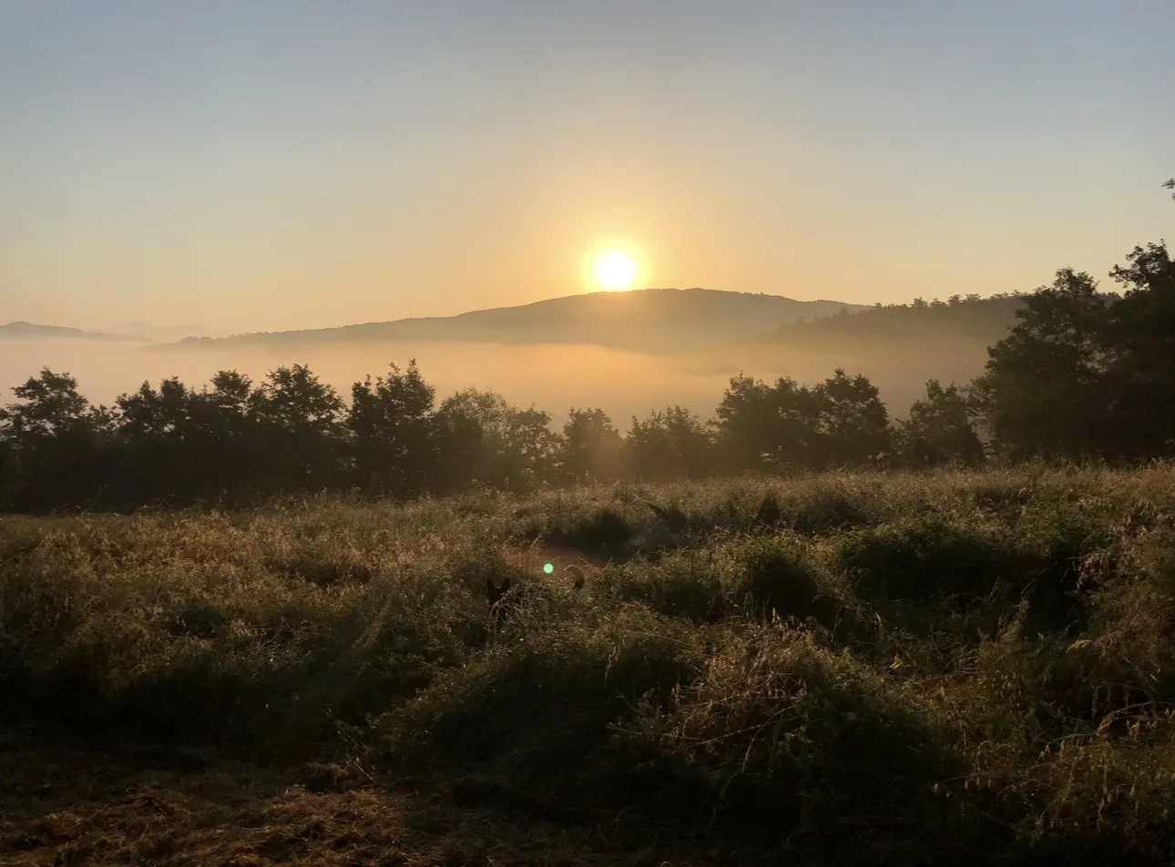 Sunrise over the hill above the Niccone valley, with mist filling the valley below